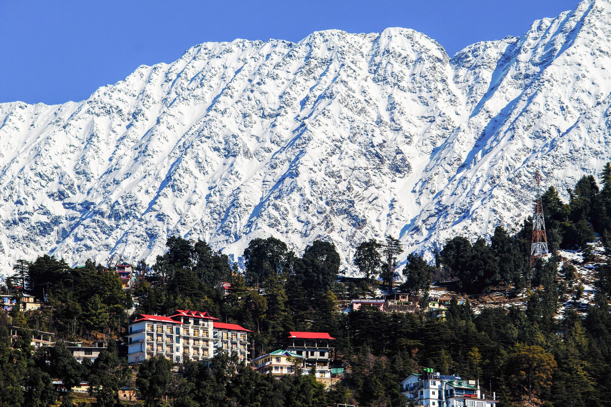 Best of Shimla and Manali